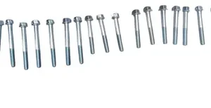 Tornillos Juego Kit Motor Bera/md Aguila Moto